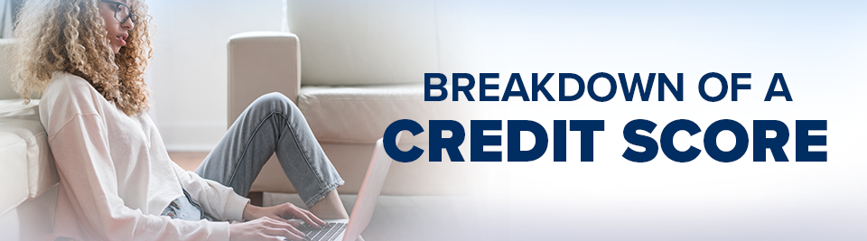 Credit Score Banner