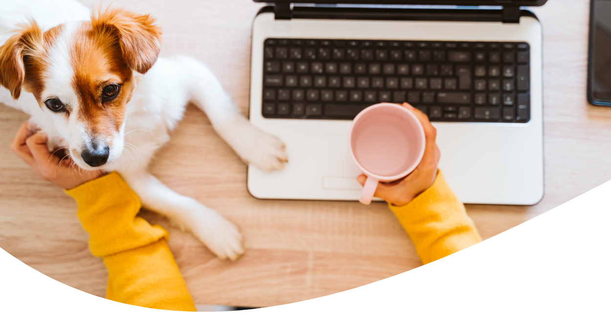 laptop on desk with puppy