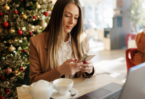 Common Holiday Scams img